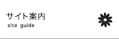 サイト案内